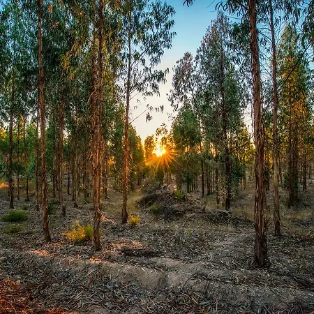 Quinta Da Eira Velha